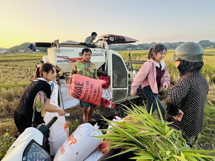 Hợp Thành (Thái Nguyên): Vững vàng sau thiên tai, bứt phá mục tiêu phát triển kinh tế - xã hội- Ảnh 1. Hợp Thành (Thái Nguyên): Vững vàng sau thiên tai, bứt phá mục tiêu phát triển kinh tế - xã hội- Ảnh 1.