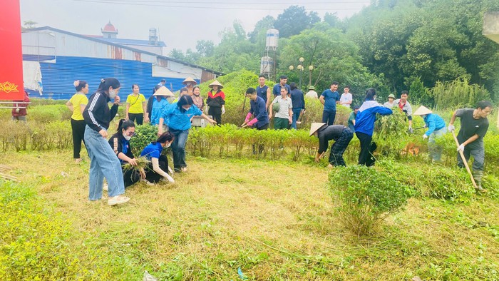 Tuổi trẻ xã Phú Lương chung tay xây dựng nông thôn mới, đô thị văn minh- Ảnh 1. Tuổi trẻ xã Phú Lương chung tay xây dựng nông thôn mới, đô thị văn minh- Ảnh 1.