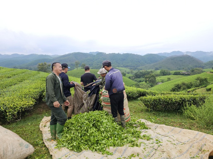 Phú Thọ: Phụ nữ Long Cốc "giảm nghèo thông tin" để tạo nguồn lực phát triển- Ảnh 3.