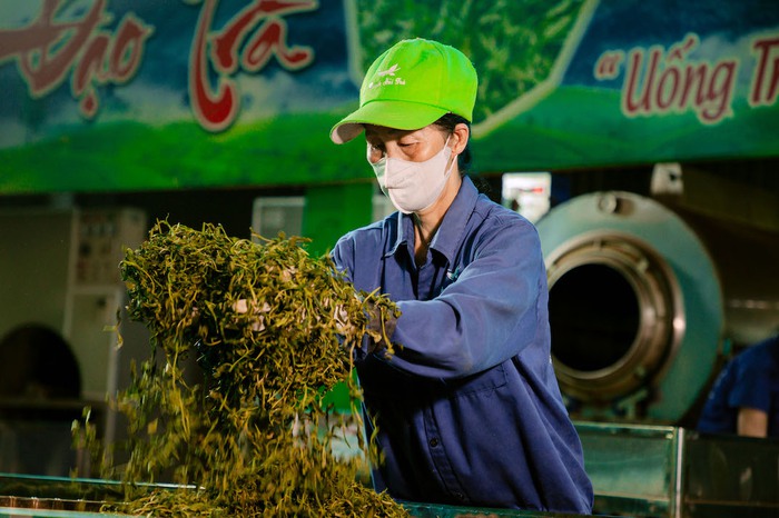 4 giải pháp nâng cao nhận thức phát triển hợp tác xã do phụ nữ làm chủ- Ảnh 2.