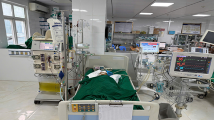 Bé gái 9 tuổi nguy kịch vì bị ong vò vẽ đốt- Ảnh 1.