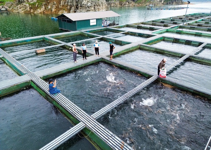 Tuyên Quang: Hành trình phụ nữ vùng cao thay đổi "nếp nghĩ, cách làm" và tư duy sản xuất- Ảnh 1.