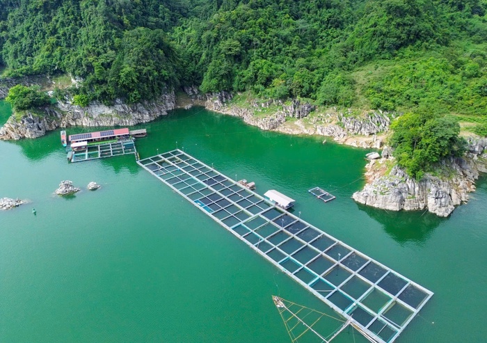 Tuyên Quang: Hành trình phụ nữ vùng cao thay đổi "nếp nghĩ, cách làm" và tư duy sản xuất- Ảnh 2.