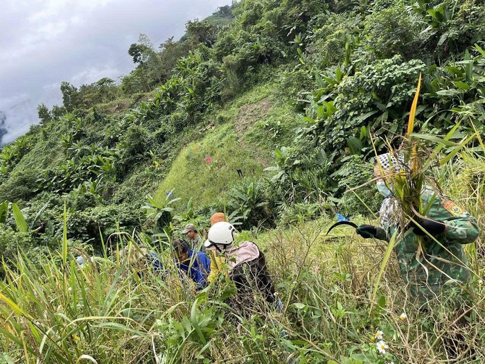 Hội LHPN xã La Êê cùng bộ đội giúp dân thu hoạch lúa trước cơn bão số 13- Ảnh 7. Hội LHPN xã La Êê cùng bộ đội giúp dân thu hoạch lúa trước cơn bão số 13- Ảnh 7.