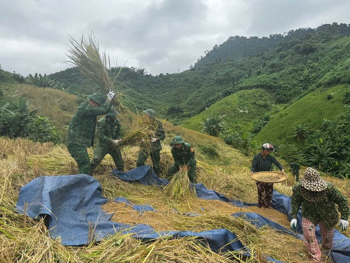 Hội LHPN xã La Êê cùng bộ đội giúp dân thu hoạch lúa trước cơn bão số 13- Ảnh 4. Hội LHPN xã La Êê cùng bộ đội giúp dân thu hoạch lúa trước cơn bão số 13- Ảnh 4.