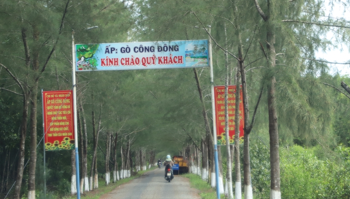 Cà Mau: Xã Cái Đôi Vàm đạt nhiều kết quả tích cực trong thực hiện Dự án 8- Ảnh 1.