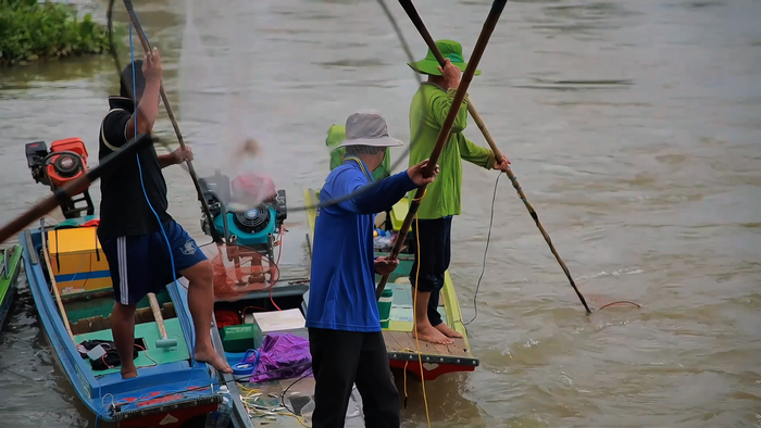 An Giang: Cống Tha La xả lũ đông đảo người đổ về bắt cá linh, niềm vui mùa nước nổi xen lẫn nỗi lo kích điện- Ảnh 6. An Giang: Cống Tha La xả lũ đông đảo người đổ về bắt cá linh, niềm vui mùa nước nổi xen lẫn nỗi lo kích điện- Ảnh 6.