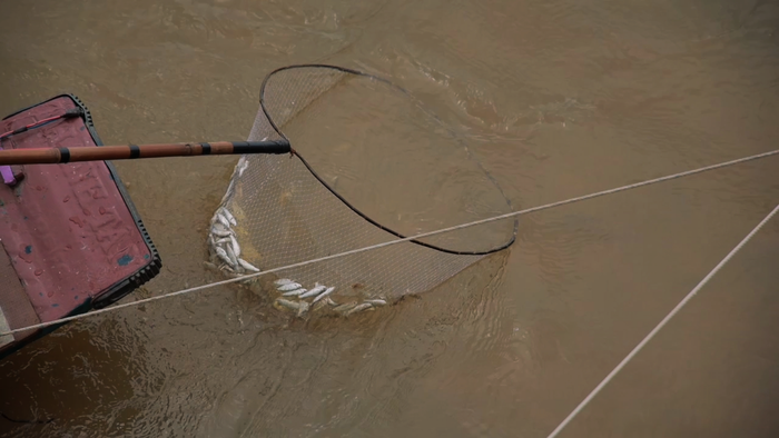 An Giang: Cống Tha La xả lũ đông đảo người đổ về bắt cá linh, niềm vui mùa nước nổi xen lẫn nỗi lo kích điện- Ảnh 2. An Giang: Cống Tha La xả lũ đông đảo người đổ về bắt cá linh, niềm vui mùa nước nổi xen lẫn nỗi lo kích điện- Ảnh 2.