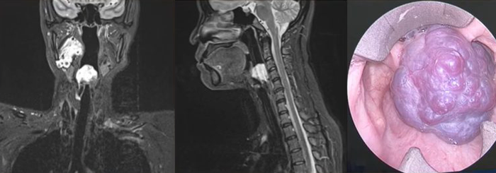 Lan tỏa tinh thần hội nhập và tiếng nói Việt trên diễn đàn y khoa quốc tế- Ảnh 2. Lan tỏa tinh thần hội nhập và tiếng nói Việt trên diễn đàn y khoa quốc tế- Ảnh 2.