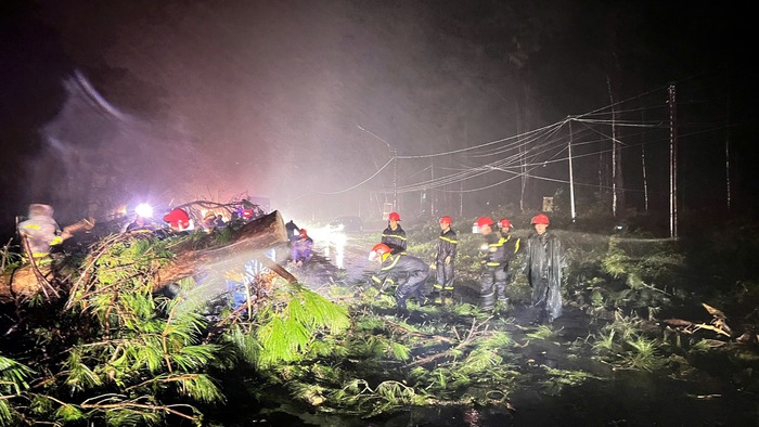 Đắk Lắk: Công an khẩn trương giúp người dân khắc phục hậu quả bão số 13- Ảnh 2. Đắk Lắk: Công an khẩn trương giúp người dân khắc phục hậu quả bão số 13- Ảnh 2.