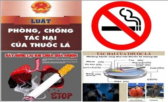 Triển khai chính sách y tế công cộng trong kiểm soát thuốc lá: Việt Nam kiên định thực thi Công ước Khung của WHO- Ảnh 1. Triển khai chính sách y tế công cộng trong kiểm soát thuốc lá: Việt Nam kiên định thực thi Công ước Khung của WHO- Ảnh 1.
