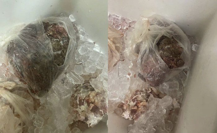 Phụ huynh Hà Nội lại phát hiện thực phẩm có dấu hiệu nghi "ôi thiu" trong bếp ăn trường học- Ảnh 1. Phụ huynh Hà Nội lại phát hiện thực phẩm có dấu hiệu nghi "ôi thiu" trong bếp ăn trường học- Ảnh 1.