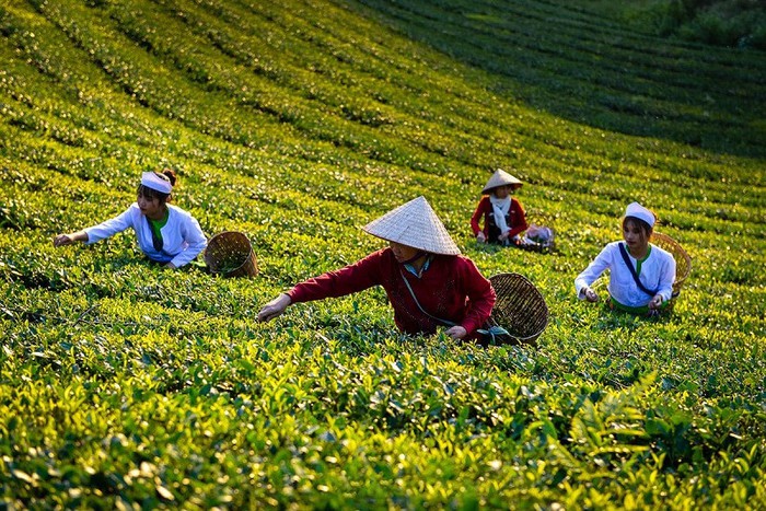 Khách quốc tế tăng mạnh, du lịch Việt Nam bứt phá trong mùa thu 2025- Ảnh 3. Khách quốc tế tăng mạnh, du lịch Việt Nam bứt phá trong mùa thu 2025- Ảnh 3.