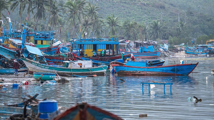 Đắk Lắk: Hỗ trợ người dân Sông Cầu khôi phục sinh kế sau bão số 13- Ảnh 5. Đắk Lắk: Hỗ trợ người dân Sông Cầu khôi phục sinh kế sau bão số 13- Ảnh 5.