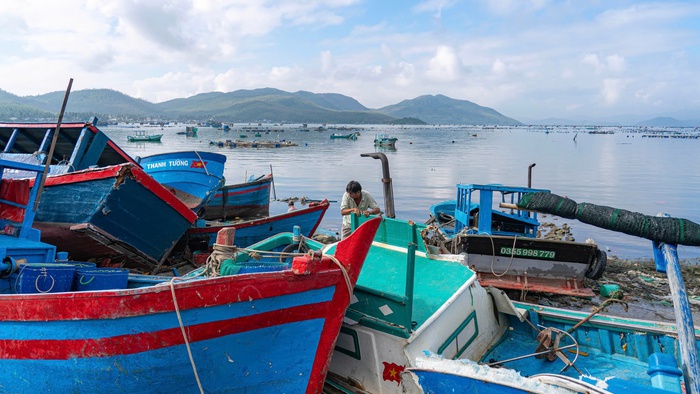 Đắk Lắk: Hỗ trợ người dân Sông Cầu khôi phục sinh kế sau bão số 13- Ảnh 4. Đắk Lắk: Hỗ trợ người dân Sông Cầu khôi phục sinh kế sau bão số 13- Ảnh 4.