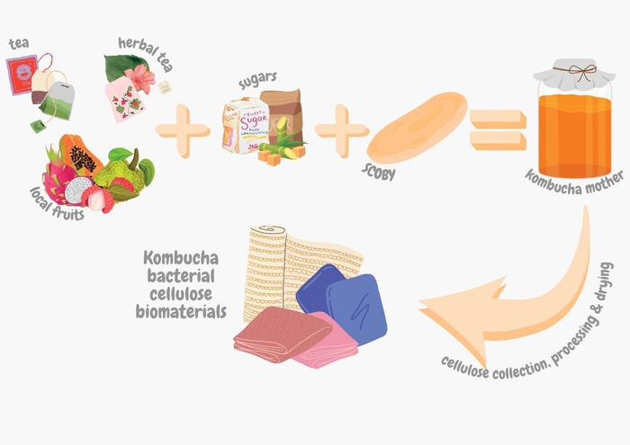 Biến màng sinh học kombucha thành vải thân thiện với môi trường- Ảnh 5.