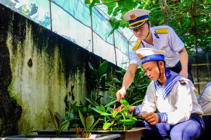 Chung tay "Xanh hóa Trường Sa"- Ảnh 1.