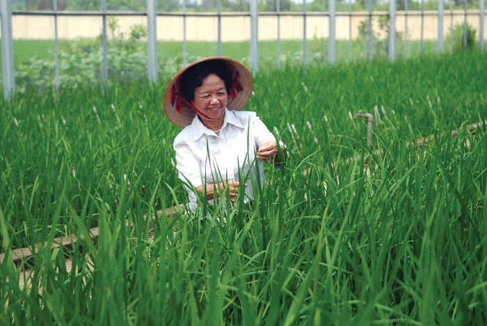 40 năm Giải thưởng Kovalevskaia: Tôn vinh nữ trí thức và thúc đẩy bình đẳng giới trong khoa học- Ảnh 1. 40 năm Giải thưởng Kovalevskaia: Tôn vinh nữ trí thức và thúc đẩy bình đẳng giới trong khoa học- Ảnh 1.