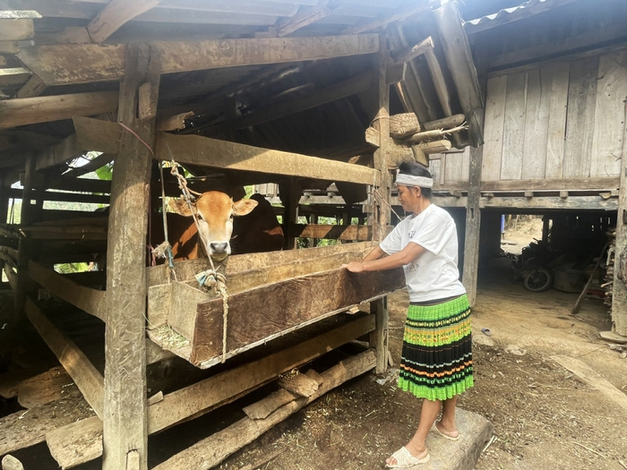 Bảo Lạc, Cao Bằng: Tập trung cho mục tiêu giảm nghèo - Ảnh 1. Bảo Lạc, Cao Bằng: Tập trung cho mục tiêu giảm nghèo - Ảnh 1.