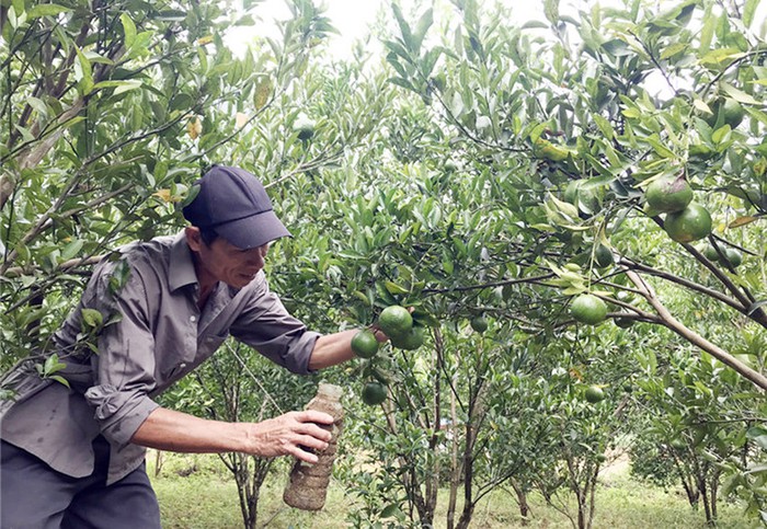 Lào Cai: Nhiều giải pháp giảm nghèo ở vùng “lõi nghèo”- Ảnh 2. Lào Cai: Nhiều giải pháp giảm nghèo ở vùng “lõi nghèo”- Ảnh 2.