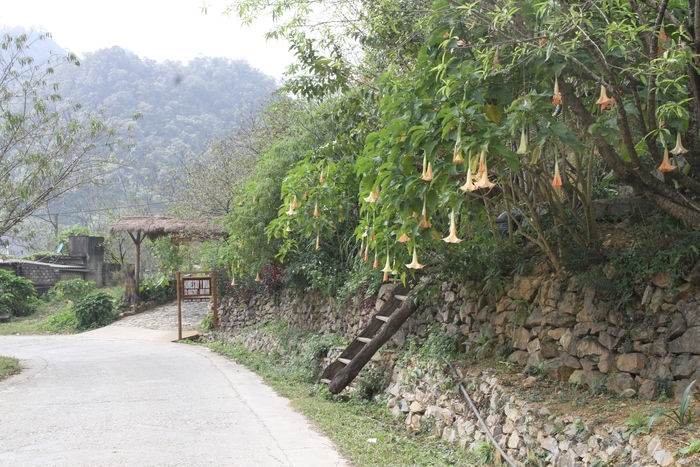Pà Cò, Hang Kia (Hòa Bình): Biến “điểm nóng” ma túy thành “điểm sáng” du lịch- Ảnh 2. Pà Cò, Hang Kia (Hòa Bình): Biến “điểm nóng” ma túy thành “điểm sáng” du lịch- Ảnh 2.