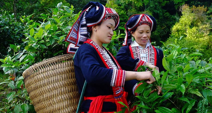 Nhiều rào cản với phụ nữ dân tộc thiểu số nâng cao quyền năng kinh tế- Ảnh 2. Nhiều rào cản với phụ nữ dân tộc thiểu số nâng cao quyền năng kinh tế- Ảnh 2.
