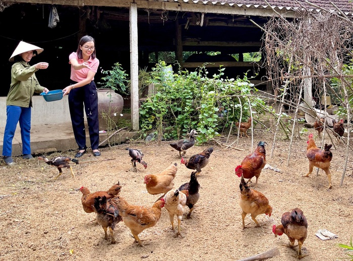Nguồn vốn và kiến thức tạo sinh kế bền vững cho đồng bào dân tộc thiểu số- Ảnh 2. Nguồn vốn và kiến thức tạo sinh kế bền vững cho đồng bào dân tộc thiểu số- Ảnh 2.