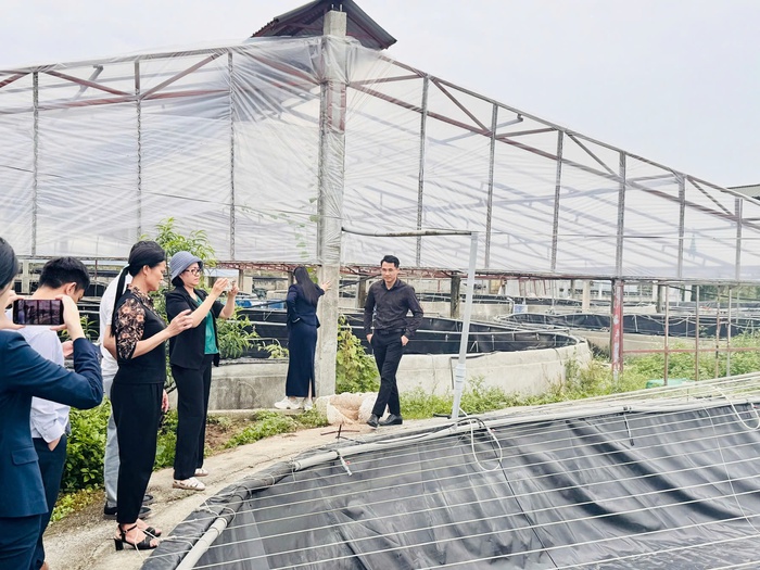 Hỗ trợ phụ nữ phát triển kinh tế tư nhân thông qua giải thưởng phát triển kinh doanh - Ảnh 3. Hỗ trợ phụ nữ phát triển kinh tế tư nhân thông qua giải thưởng phát triển kinh doanh - Ảnh 3.