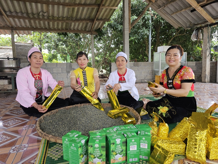 Gieo mầm từ cây chè, đơm trái bằng niềm tin- Ảnh 2.