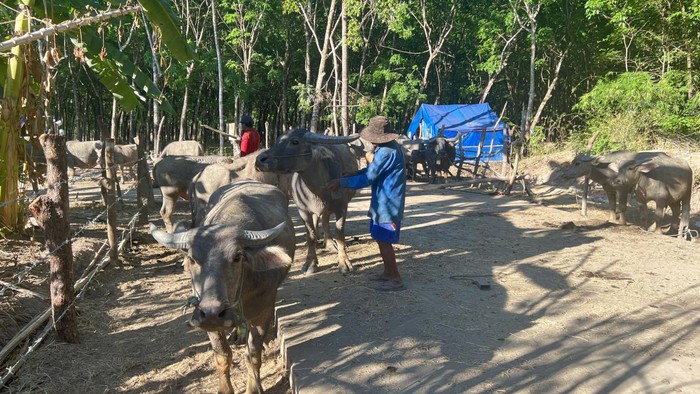 Bình Phước: Tập trung nguồn lực cho mục tiêu giảm nghèo- Ảnh 2. Bình Phước: Tập trung nguồn lực cho mục tiêu giảm nghèo- Ảnh 2.