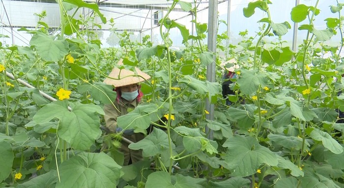 Lai Châu: Nhiều khu vực thiếu nước sinh hoạt- Ảnh 1. Lai Châu: Nhiều khu vực thiếu nước sinh hoạt- Ảnh 1.