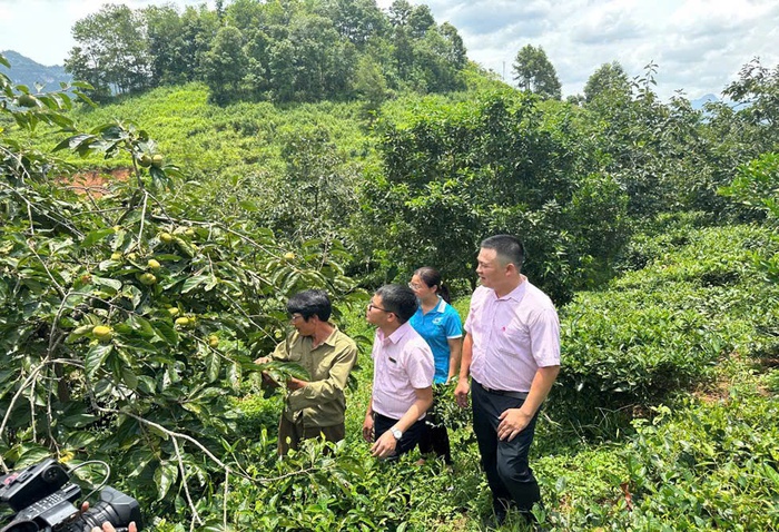 "Điểm tựa" của những người từng lầm lỡ ở xã biên giới Chiềng Sơn- Ảnh 3. "Điểm tựa" của những người từng lầm lỡ ở xã biên giới Chiềng Sơn- Ảnh 3.