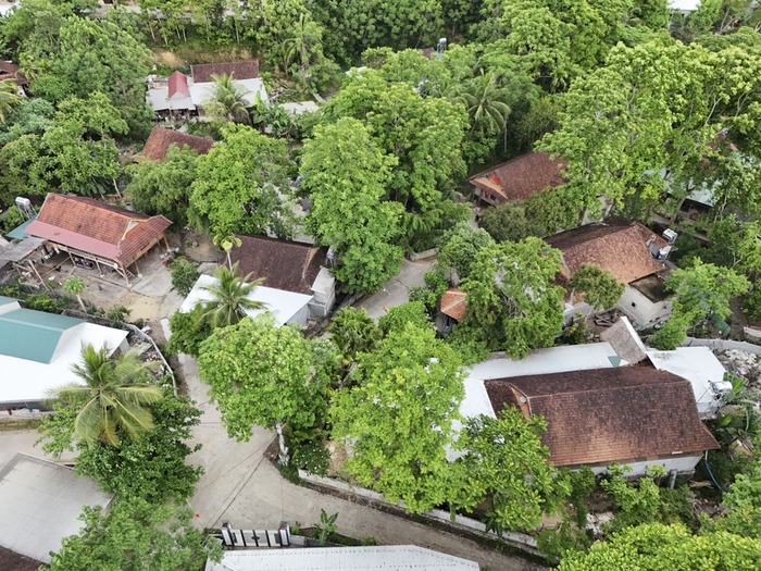 Phụ nữ dân tộc Thái ở miền Tây xứ Nghệ thoát nghèo nhờ “số hóa” cuộc sống- Ảnh 4. Phụ nữ dân tộc Thái ở miền Tây xứ Nghệ thoát nghèo nhờ “số hóa” cuộc sống- Ảnh 4.