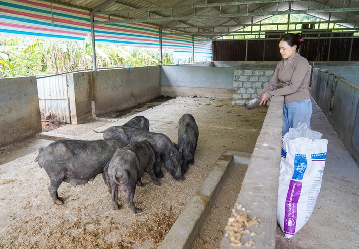 Thông tin mở lối cho hơn 1.100 hộ phụ nữ Nghệ An thoát nghèo, 660 ý tưởng khởi nghiệp thành công- Ảnh 2. Thông tin mở lối cho hơn 1.100 hộ phụ nữ Nghệ An thoát nghèo, 660 ý tưởng khởi nghiệp thành công- Ảnh 2.