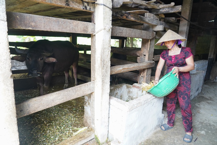 Phụ nữ Hà Tĩnh truyền thông chính sách vay vốn ưu đãi, giúp gần 34.000 hộ dân thoát nghèo- Ảnh 2. Phụ nữ Hà Tĩnh truyền thông chính sách vay vốn ưu đãi, giúp gần 34.000 hộ dân thoát nghèo- Ảnh 2.