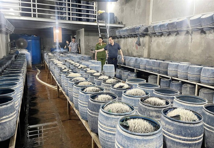 Lào Cai: Triệt phá 2 cơ sở dùng hóa chất độc hại làm giá đỗ - Ảnh 1. Lào Cai: Triệt phá 2 cơ sở dùng hóa chất độc hại làm giá đỗ - Ảnh 1.
