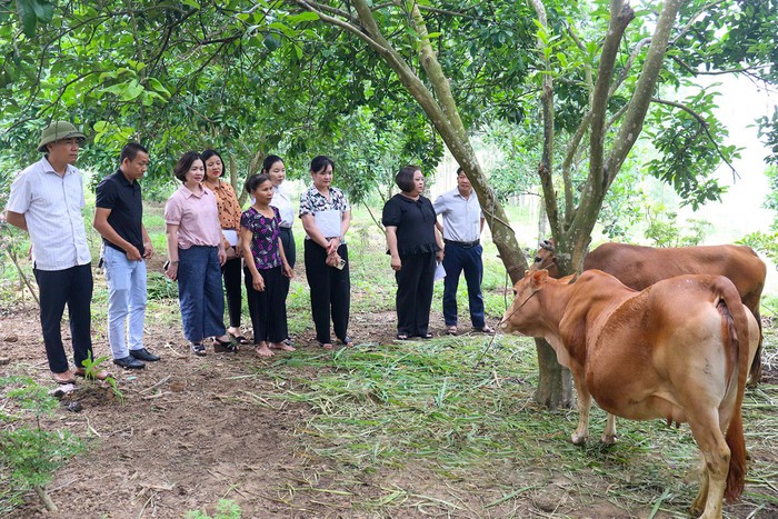 Đa dạng hóa các mô hình giảm nghèo toàn diện- Ảnh 1. Đa dạng hóa các mô hình giảm nghèo toàn diện- Ảnh 1.