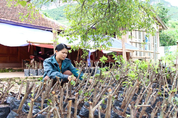 Người tiên phong xóa bỏ hủ tục tang ma của đồng bào dân tộc Mông - Ảnh 2. Người tiên phong xóa bỏ hủ tục tang ma của đồng bào dân tộc Mông - Ảnh 2.