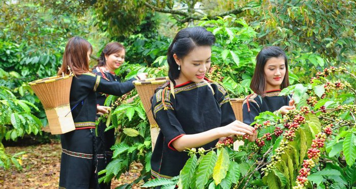 Giải bài toán về phụ nữ và trẻ em vùng dân tộc thiểu số Trung Trung Bộ: Cần những giải pháp đồng bộ và bền bỉ- Ảnh 2. Giải bài toán về phụ nữ và trẻ em vùng dân tộc thiểu số Trung Trung Bộ: Cần những giải pháp đồng bộ và bền bỉ- Ảnh 2.