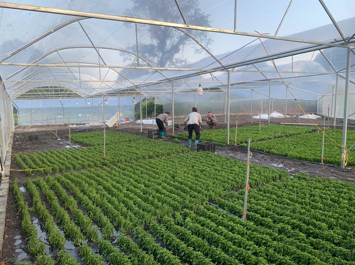 Cao Bằng: Chuyển đổi số tạo ra những chuyển biến mạnh mẽ - Ảnh 2. Cao Bằng: Chuyển đổi số tạo ra những chuyển biến mạnh mẽ - Ảnh 2.