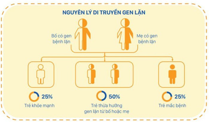 Căn bệnh nguy hiểm đang ẩn mình trong cơ thể của hơn 10 triệu người Việt: Hiểu đúng để phòng ngừa hiệu quả- Ảnh 2. Căn bệnh nguy hiểm đang ẩn mình trong cơ thể của hơn 10 triệu người Việt: Hiểu đúng để phòng ngừa hiệu quả- Ảnh 2.