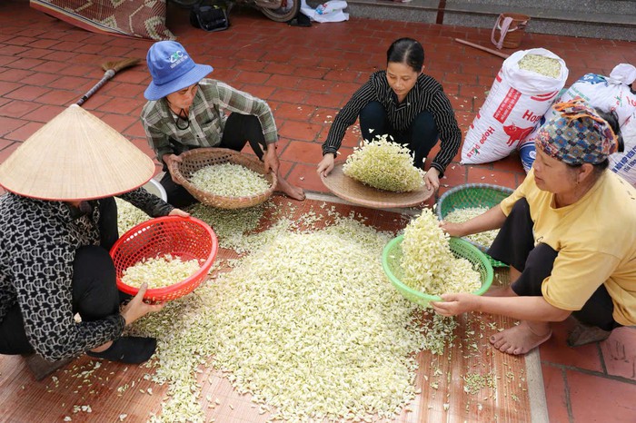 Nữ giám đốc khởi nghiệp từ "cây giữ nhà" - Ảnh 3. Nữ giám đốc khởi nghiệp từ "cây giữ nhà" - Ảnh 3.