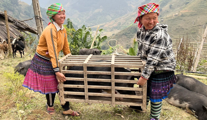 Tinh gọn tổ chức - Hướng về cơ sở - Bài 3: Hội viên cần gì sau tinh gọn?- Ảnh 1. Tinh gọn tổ chức - Hướng về cơ sở - Bài 3: Hội viên cần gì sau tinh gọn?- Ảnh 1.