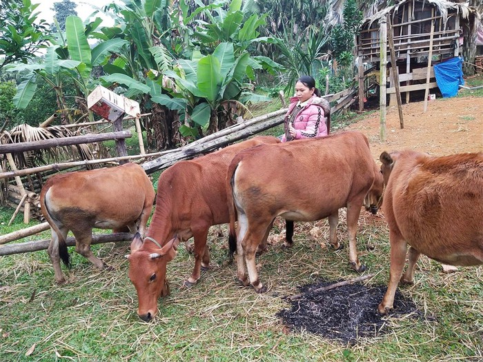 Đồng hành và tiếp sức cho phụ nữ dân tộc thiểu số vươn lên- Ảnh 2. Đồng hành và tiếp sức cho phụ nữ dân tộc thiểu số vươn lên- Ảnh 2.