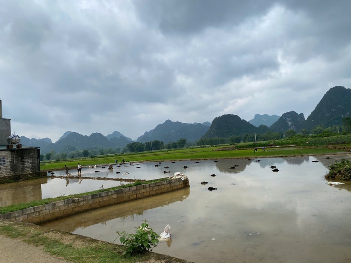 Phụ nữ Cao Bằng thay đổi phương thức sản xuất nông nghiệp để thoát nghèo- Ảnh 2. Phụ nữ Cao Bằng thay đổi phương thức sản xuất nông nghiệp để thoát nghèo- Ảnh 2.