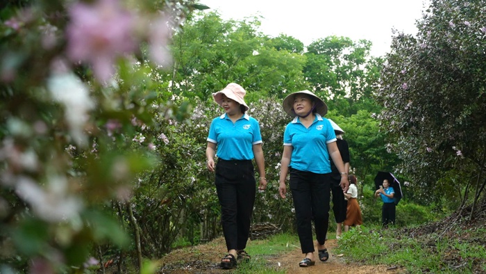 Từ những mái nhà tranh nghèo đến ngôi làng kiểu mẫu- Ảnh 5. Từ những mái nhà tranh nghèo đến ngôi làng kiểu mẫu- Ảnh 5.