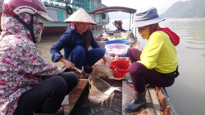 Sông Đà mùa "đá nổi"- Ảnh 2. Sông Đà mùa "đá nổi"- Ảnh 2.