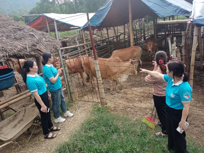 Hội LHPN Lào Cai: Hỗ trợ hội viên phát triển kinh tế từ nguồn vốn vay Ngân hàng Chính sách xã hội- Ảnh 1. Hội LHPN Lào Cai: Hỗ trợ hội viên phát triển kinh tế từ nguồn vốn vay Ngân hàng Chính sách xã hội- Ảnh 1.