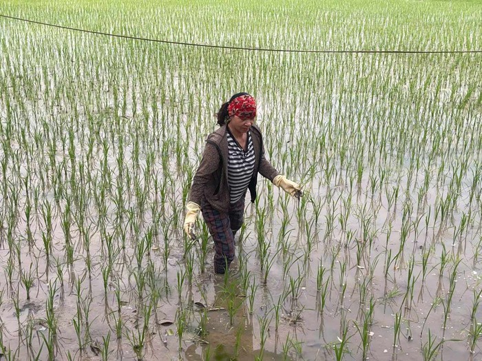 Bác sĩ kêu gọi giúp đỡ góa phụ nghèo có chồng vừa đột tử, con trai gặp tai nạn nguy kịch- Ảnh 4. Bác sĩ kêu gọi giúp đỡ góa phụ nghèo có chồng vừa đột tử, con trai gặp tai nạn nguy kịch- Ảnh 4.