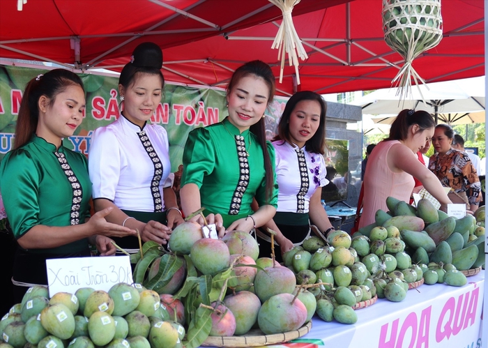 Mai Sơn (Sơn La): Nâng tầm nông sản địa phương bằng liên kết và công nghệ- Ảnh 2. Mai Sơn (Sơn La): Nâng tầm nông sản địa phương bằng liên kết và công nghệ- Ảnh 2.